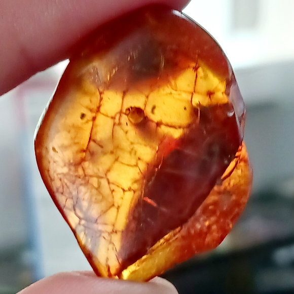 Baltic amber, incased  flying insect , rare & Unique Beautiful shape and colors - Picture 1 of 8